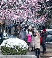 电动汽车电机(电动汽车电机生产厂家上市公司)